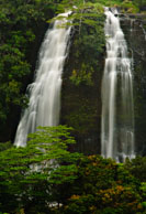 Opaekaa Falls / Opaekaa Falls
