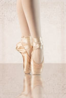 I Dance... Pointe / I Dance... Ballet series